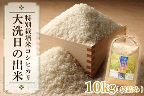 先行予約 新米 令和8年産米 10kg すぐ発送 すぐ届く 低農薬米 大洗 日の出米 コシヒカリ 精米 令和8年産 特別栽培米 コメ こめ 送料無料