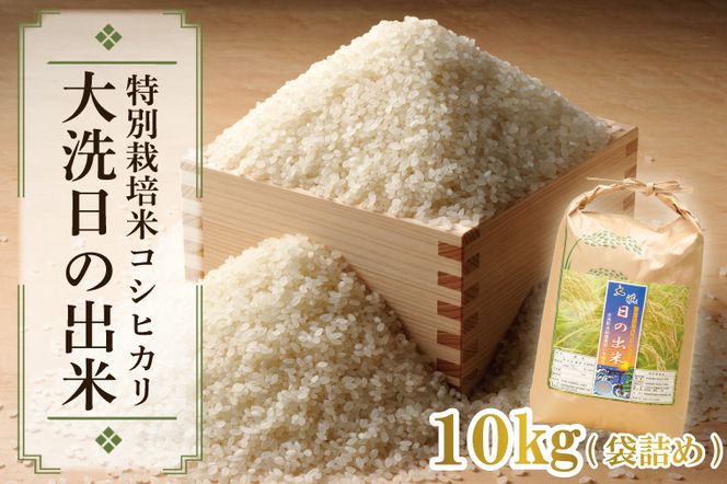 先行予約 新米 令和8年産米 10kg すぐ発送 すぐ届く 低農薬米 大洗 日の出米 コシヒカリ 精米 令和8年産 特別栽培米 コメ こめ 送料無料