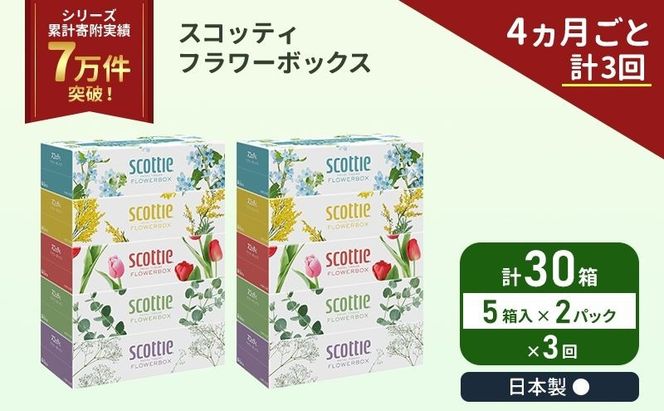 定期便 ティッシュ スコッティ フラワーボックス 30箱 ( 5箱 × 2パック )《 4ヶ月ごと 計  3回 》 