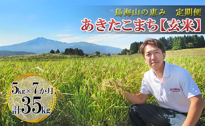 米 お米 【定期便】5kg×7ヶ月 鳥海山の恵み 農家直送！ あきたこまち（玄米） 7カ月 7回 サブスク