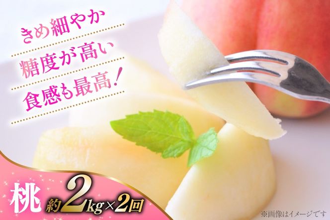桃 約 2.0kg 2回 シャインマスカット 約 2.0kg 2回 【2027年発送】 先行予約 おごっそう 定期便4回 NS-1017 [韮崎翠緑 山梨県 韮崎市 20744990] 桃 シャインマスカット もも シャイン マスカット ぶどう 葡萄 くだもの 果物 フルーツ