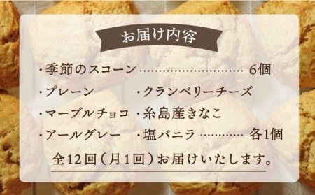 【全12回定期便】定番 ＆ 季節 の スコーン 12個セット 糸島市 / スコーン専門店キナフク 焼き菓子 焼菓子 洋菓子 スイーツ パン [AFA017] 洋菓子 焼き菓子 卵不使用 スコーン お菓子 自宅用 個包装 セット 詰め合わせ
