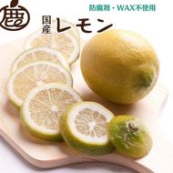 ＜9月より発送＞レモン2.5kg+250g（傷み補償分）【和歌山有田産】【防腐剤・WAX不使用、安心の国産レモン】 ※北海道・沖縄・離島への配送不可 ※2025年9月中旬～2026年4月下旬頃に順次発送予定