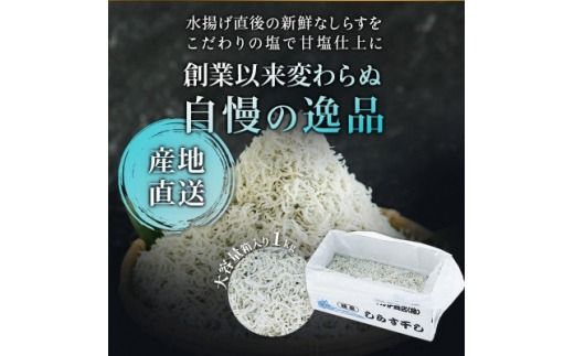 「太陽のしらす干し」 訳あり しらす干し 1kg 愛知県産 箱入　冷凍