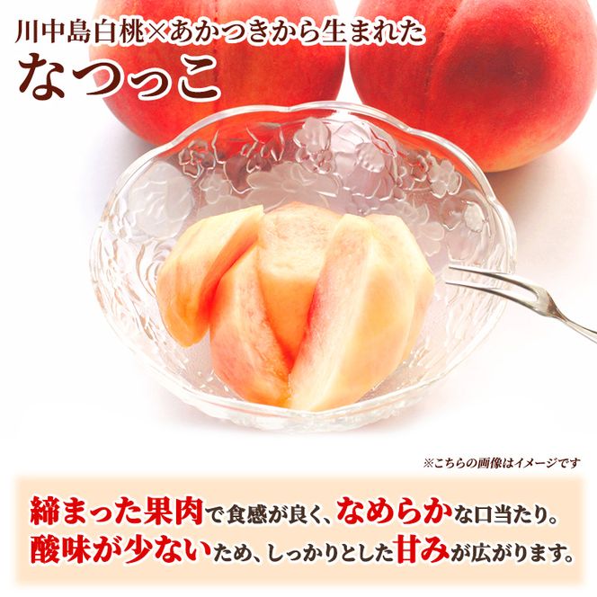 桃 先行予約 浅間水蜜桃 なつっこ 約5kg 秀品 13～22玉 贈答品 フルーツ 果物 白桃 甘い 冷蔵