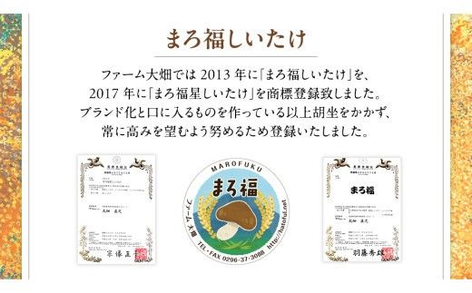 【 ファーム大畑 】まろ福印の 天日干し 椎茸パウダー 40g × 3袋 椎茸 しいたけ GAP規範 干し椎茸 ヴィーガン ビタミンD 葉酸 グアニル酸 遊離 グルタミン酸 佃煮 カレー キムチ 納豆 ヨーグルト 味噌汁 出汁 [AK005ci]