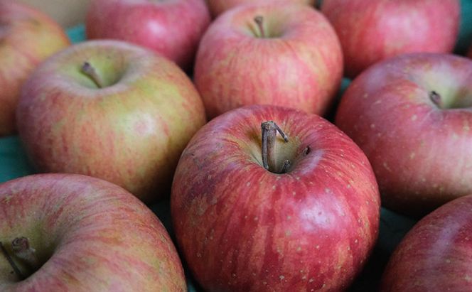 りんご 【4月クール便発送】糖度13度以上 訳あり品 家庭用 CA貯蔵 サンふじ約10kg【 青森りんご 果物 フルーツ デザート 食後 青森県産 産地直送 贈り物  】