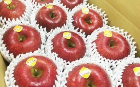 【贈答用】 果汁たっぷり蜜入り サンふじ 5kg いわて花巻 【810】