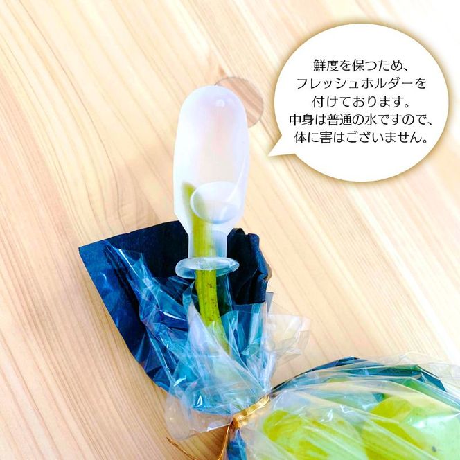 【田口ファミリーファーム】パリメール(瀬戸ジャイアンツ)3房~6房(約2.5kg~約4.5kg) N053-YZD0142