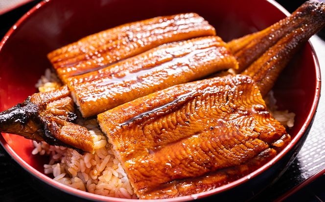 うなぎ 蒲焼き 2尾 計400ｇ 高知県産 鰻 フジ物産 国産 養殖 fb-0206