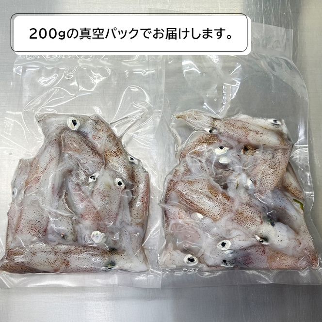 淡路島産ヒイカ 1キロ イカ