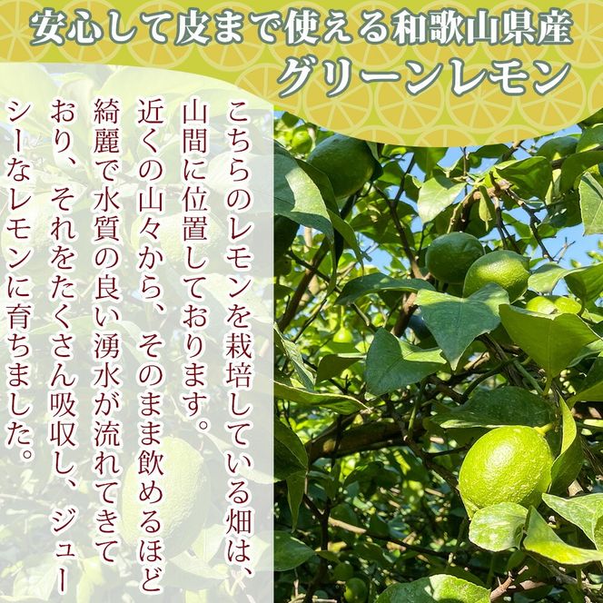 EA6114_【2026年先行予約】綺麗な湧き水で育てたグリーンレモン 10kg (大小混合)60個～120個