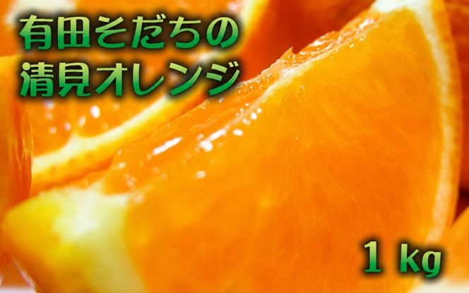 有田育ちの完熟清見オレンジ(ご家庭用)　1kg+200g(補償分)【2027年2月下旬～5月上旬頃に順次発送予定】【ard241】
