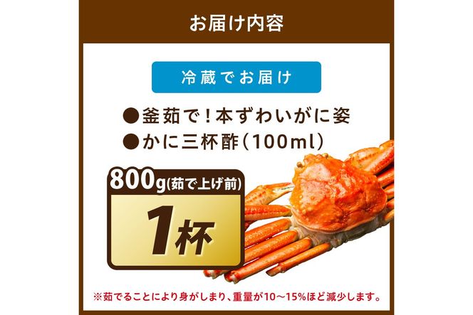 【大好評！カニ酢付き】訳あり！釜茹で！特大本ずわいがに姿 800g×1杯　YK00487
