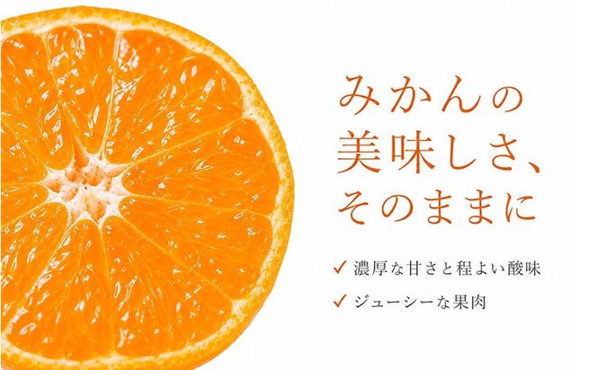 【訳ありご家庭用】和歌山有田みかん10kg 2S～2L サイズ混合 魚鶴商店《11月下旬-12月下旬頃出荷》 和歌山県 日高町 みかん 柑橘 訳アリ ご家庭用---wsh_uot249_11g12m_26_14000_10kg---