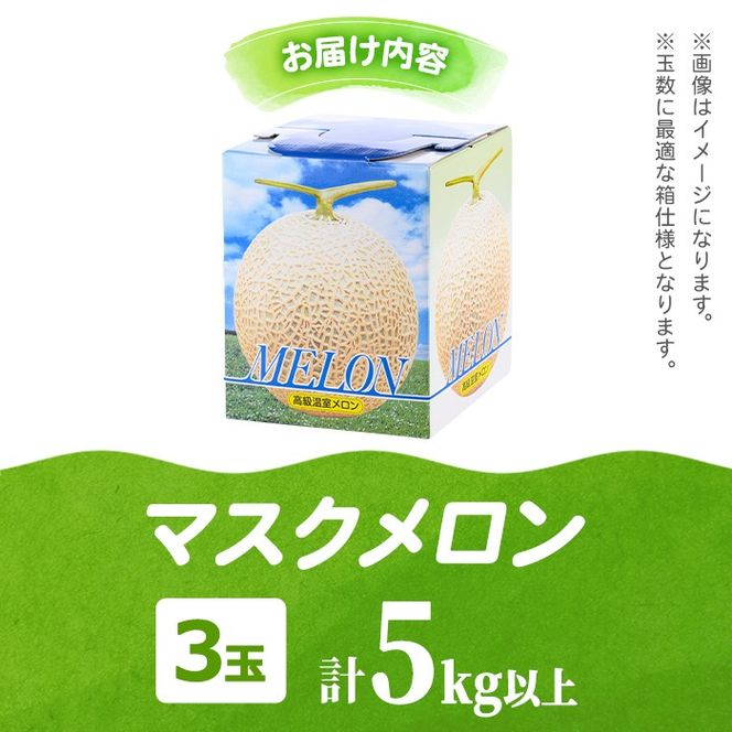 【0352206a】まるまる育ったマスクメロン(3玉・計5kg以上) マスクメロン フルーツ 果物 果実 5キロ 数量限定 期間限定【まる美園芸組合】
