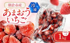 いちご 朝倉市産 冷凍あまおう 1kg（500g×2）イチゴ 苺 果物 デザート ＜しばやま農園＞ ※配送不可：離島