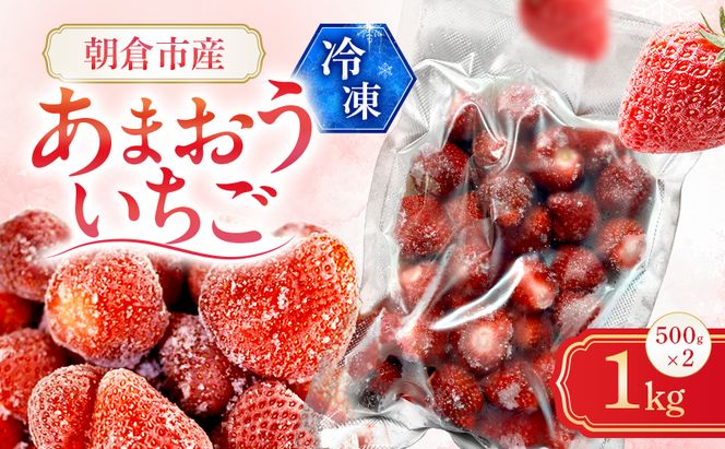 いちご 朝倉市産 冷凍あまおう 1kg（500g×2）イチゴ 苺 果物 デザート ＜しばやま農園＞ ※配送不可：離島