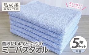 knt0070 普段使いにぴったりのミニバスタオル 5枚【サックス 泉州タオル 高品質 綿100％ 日本製 国産 単色 シンプル】