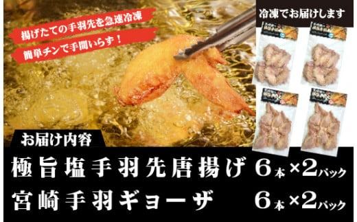 【レンジでチンするだけ♪】極旨塩手羽先唐揚げ 宮崎手羽ギョーザ セット（鶏肉 手羽先 手羽 唐揚げ 餃子 ギョウザ 調理済み 冷凍 人気）