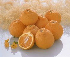 【2026年4月より出荷】則村園産 不知火 約1.5kg 5～7個   	EX05