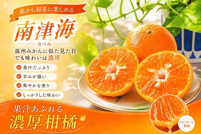 【2027年4月上旬より発送開始】南津海(なつみ)みかん 4.5kg【みかん 柑橘 オレンジ ポンカン フルーツ デザート 果汁】(H116156)