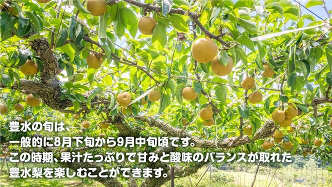 梨 豊水 約10kg 20～32個【2025年9月から発送開始】（茨城県共通返礼品：石岡市産）田舎の頑固おやじが厳選！ 梨 豊水 高糖度 ギフト 甘い 美味しい フルーツ デザート