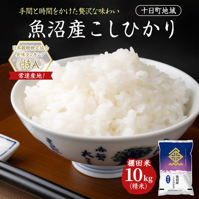 魚沼産こしひかり 棚田米(十日町地域) 精米 10kg(5kg×2) 米 お米 コシヒカリ 十日町市