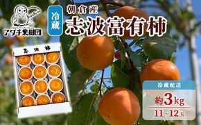 柿 志波 富有柿 冷蔵 約3kg 11～12玉 配送不可 離島 果物類 かき 