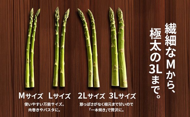 十勝幕別町産 グリーンアスパラ2kg 極太L～3L混合［山田敏明牧場］【2026年5月出荷開始】  北海道 野菜 アスパラガス