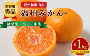 【先行予約】【贈答用・秀品】紀州和歌山産 温州みかん 約1kg（箱込み）M～2L サイズ混合（極早生・早生・中生）