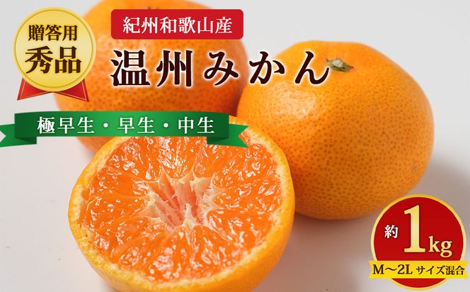 【先行予約】【贈答用・秀品】紀州和歌山産 温州みかん 約1kg（箱込み）M～2L サイズ混合（極早生・早生・中生）