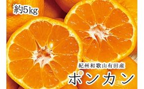 紀州和歌山有田産ポンカン　5㎏ ※2027年1月下旬頃〜2027年2月上旬頃に順次発送（お届け日指定不可）【uot722】