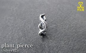 plant pierce