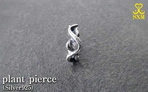 y錧푍szplant pierce