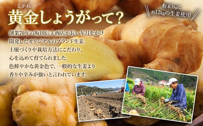 しょうが粉末 1kg 【7日程度で発送】 黄金 生姜 ジンジャー のし対応不可 数量限定 ジンジャーパウダー 生姜粉末 からだぽかぽか 冷え症対策 国産 特産品 しょうが ショウガ 高知県産 野菜 坂田信夫商店 高知県 香南市 常温 Xnb-0010