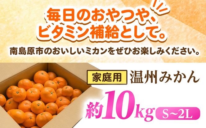 【11月末〜発送】温州みかん 10kg （S〜2L） / みかん ミカン 蜜柑 フルーツ 果物 旬 先行予約 柑橘 産地直送 家庭用 国産 / 南島原市 / 株式会社マルハチ[SFG005]