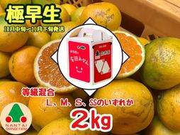 等級混合 極早生 有田 みかん L ～ SS サイズ 2kg 南泰園 和歌山 有田みかん  BS592
