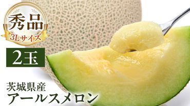 茨城県産 アールスメロン 秀品 3L サイズ × 2玉 入り おすすめ JA全農いばらき JA 【 2024年8月下旬から発送 】 メロン めろん ふるさと納税 フルーツ マスクメロン くだもの 果物 国産旬 定番 旬 期間限定 青肉 果物 [AK030us]