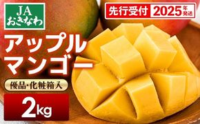 【化粧箱入】【先行受付・2025年発送】JAおきなわの産直アップルマンゴー約2kg【優品】