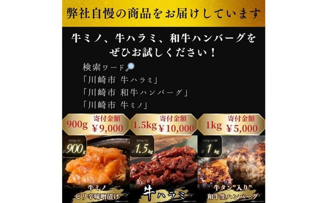 【2026年８月発送】牛タン入り 和牛 生ハンバーグ 1kg ( 10個 × 100g ) 小分け 個包装 便利 ハンバーグ 牛タン 牛肉 肉 お肉 タン 焼くだけ 冷凍 おかず 弁当 お取り寄せ グルメ 食品 加工食品 人気 おすすめ 神奈川 川崎 141305_KZ03VC08