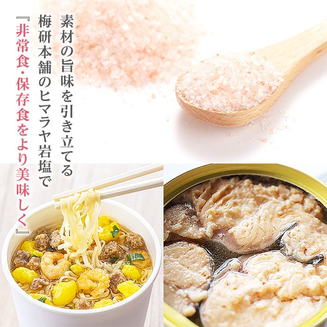 災害用 食塩 ピンク岩塩(あら塩×3袋・100g/袋)  ヒマラヤ岩塩 ピンク岩塩 岩塩 塩 食塩 調味料 ミネラル 熱中症対策 災害用 防災グッズ 災害対策 備蓄 【梅研本舗ジャパン】akn047-08