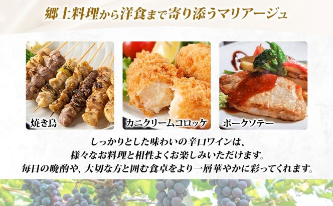  黒葡白醸2023 750ml×1本 こくぶはくじょう 白ワイン クラフトワイン 果実酒 スチューベン 辛口 木樽熟成 自然酵母 サクラアワード シルバー受賞 お酒 晩酌 贈り物 ギフト つがるワイナリー 青森県 鶴田町