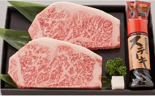 [運用開始記念!]熟成宮崎牛A5等級サーロインステーキセット 500g オリジナルソース付き(牛肉 お肉 ブランド牛 黒毛和牛 ステーキ サーロイン)
