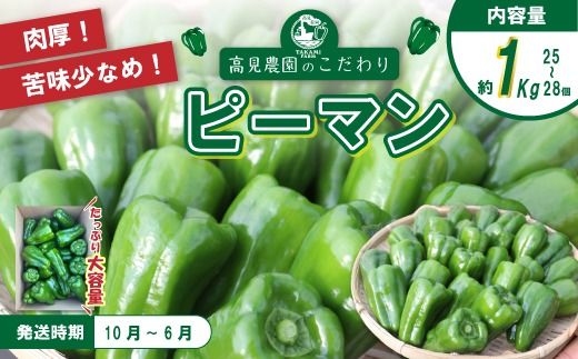 苦味が少なくておいしい！ 高見農園 のこだわり 新鮮 ピーマン 1kg 野菜 ベジタブル ぴーまん ハウス ハウスピーマン ハウス栽培 惣菜 国産 産地直送 旬 高知県 四万十 しまんと【発送時期：10月～6月】26-0036
