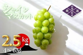 【2026年発送★先行予約】笛吹市産　厳選シャインマスカット［2.5kg］（4～6房）フルーツ大国！山梨県笛吹市より産地直送 209-004-26y OUTTA REACH JAPAN