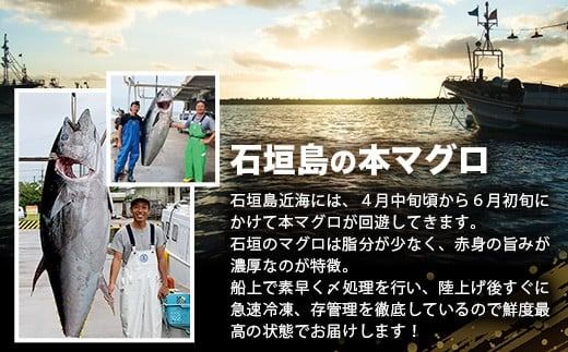 【先行予約】YE-01 石垣島産 天然本マグロ600g（まぐろ赤身・中トロ・大トロのミックスセット ）ヤエスイ マグロ船直送【2025年6月下旬より順次発送】【 産地直送 大トロ 大とろ 中トロ 中とろ 国産 まぐろ 鮪 天然 赤身 魚 お刺身 本まぐろ マグロ 沖縄県 沖縄 琉球 八重山 八重山諸島 石垣島 石垣 石垣島産 】