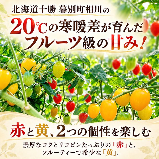 【先行予約】十勝幕別の ミニトマト アイコ 600g （赤300g・黄300g）［北海道ホープランド農場］【 トマト ミニトマト アイコ 野菜 夏野菜 フルーツ感 北海道 十勝 幕別 】