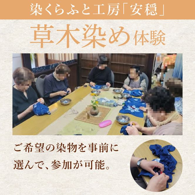 【染物選択・持ち込み可】里山の草木染め体験【体験 染物 持ち込み 自然 チケット 工房 北茨城市 茨城県】(DJ002)