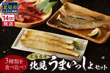 《14営業日以内に発送》3種類を食べ比べ！北見うまいっしょセット ( 干物 魚介 鮭 サケ 鮭とば こまい ほっけ ホッケ 贈答 ギフト 詰め合わせ )【035-0013】